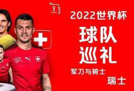 瑞士队凭借守备坚固,锋线进攻毫不留情的球队 瑞士队凭借守备坚固,锋线进攻毫不留情的球队